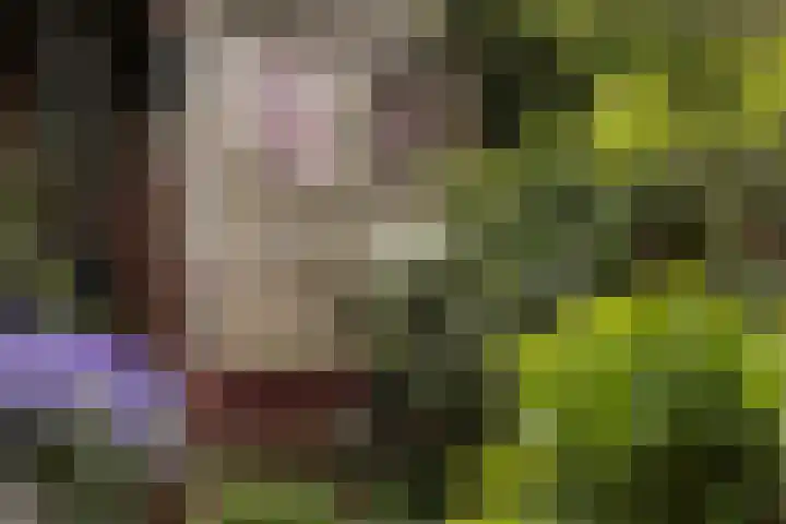 Boekenrodelaan 13 Amstelveen thumbnail 40