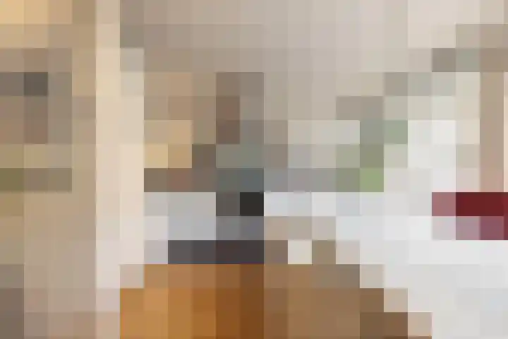 Boekenrodelaan 13 Amstelveen thumbnail 8