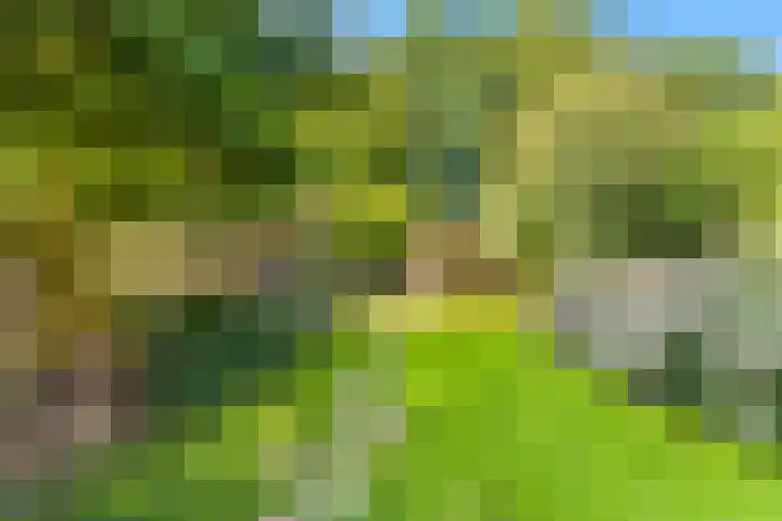 Boekenstein 103 Heiloo thumbnail 17