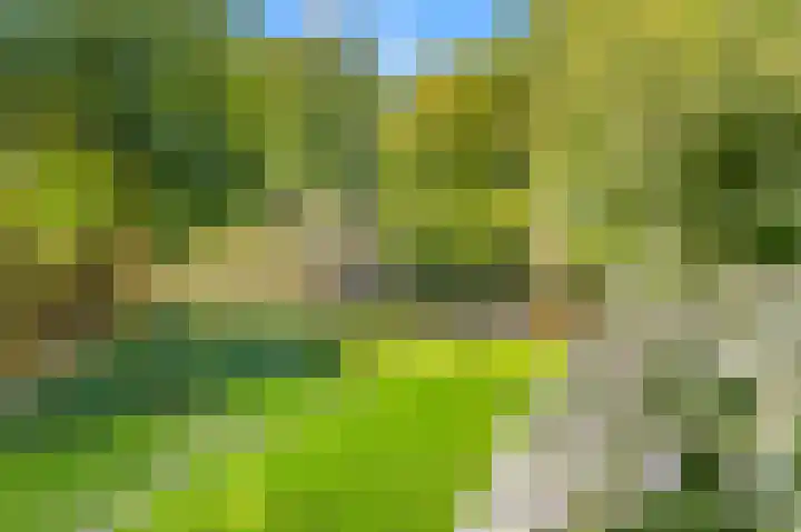 Boekenstein 103 Heiloo thumbnail 32