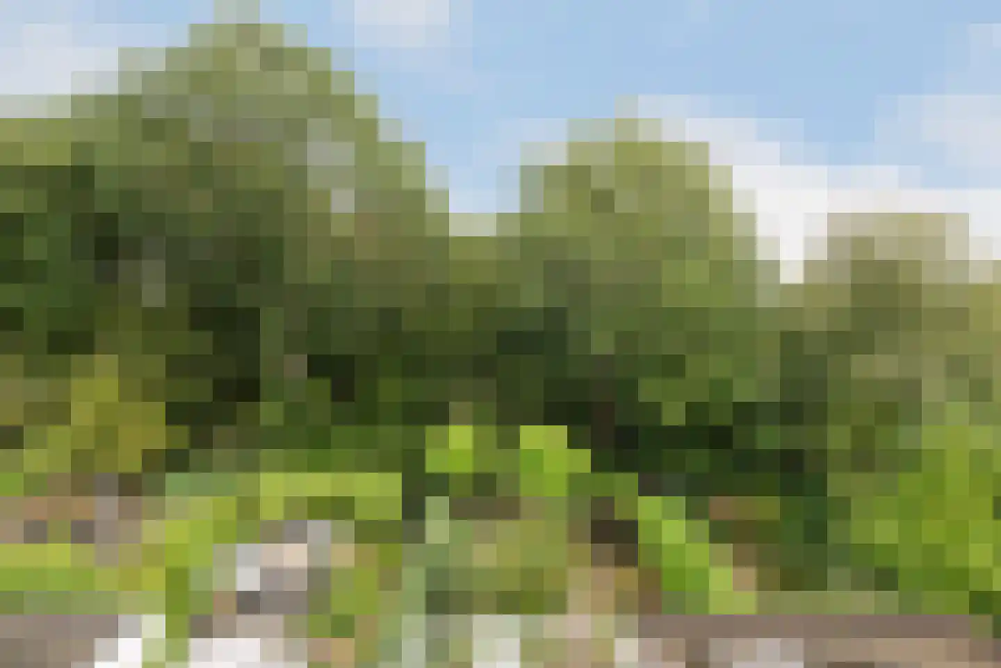 Boekenstein 16 Heiloo thumbnail 27