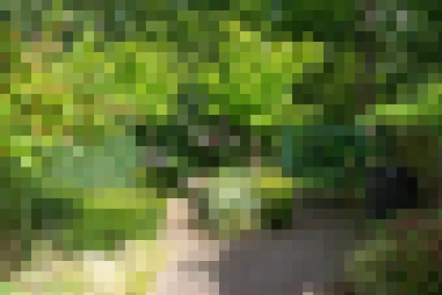 Boekenstein 16 Heiloo thumbnail 30