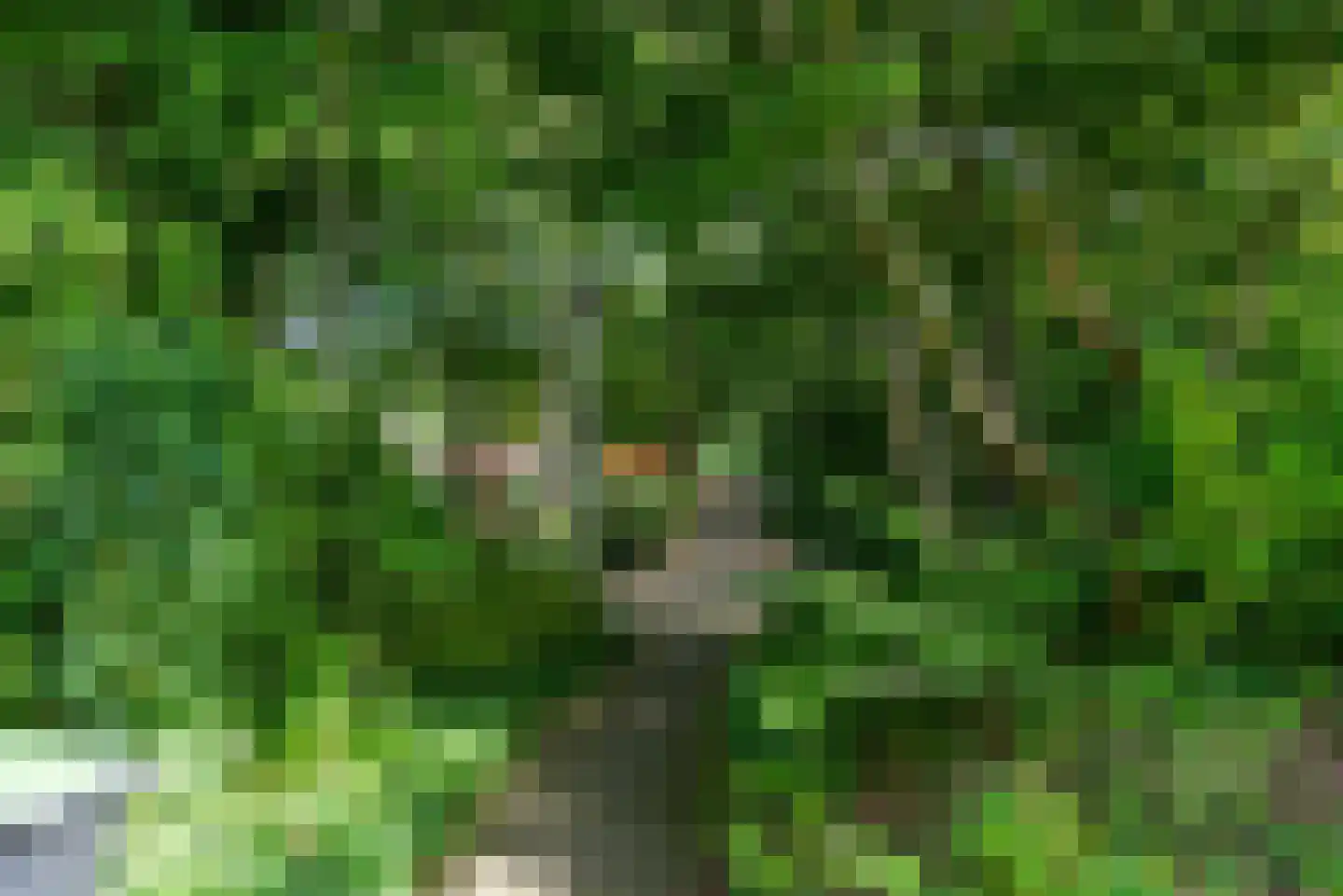 Boekenstein 16 Heiloo thumbnail 35