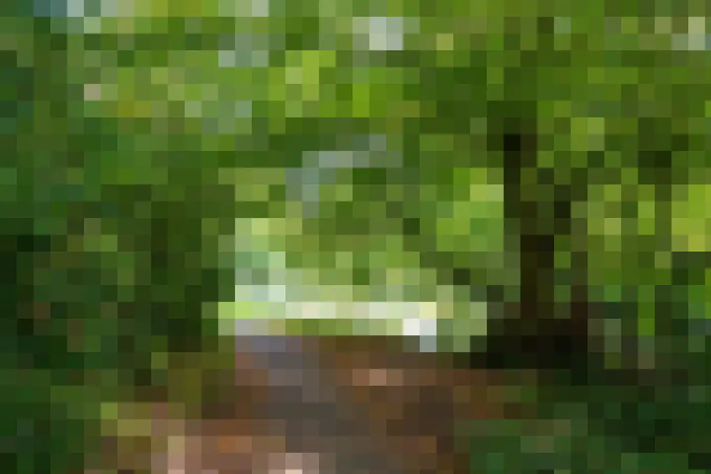 Boekenstein 16 Heiloo thumbnail 40
