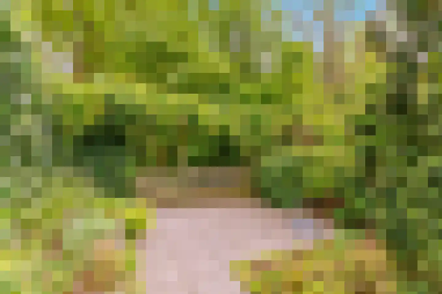 Boekenstein 19 Heiloo thumbnail 27