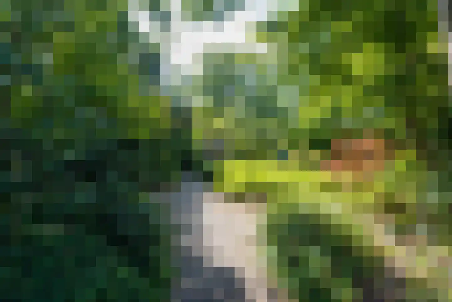 Boekenstein 28 Heiloo thumbnail 40