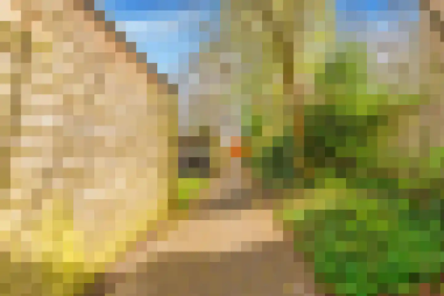 Boekenstein 39 Heiloo thumbnail 39