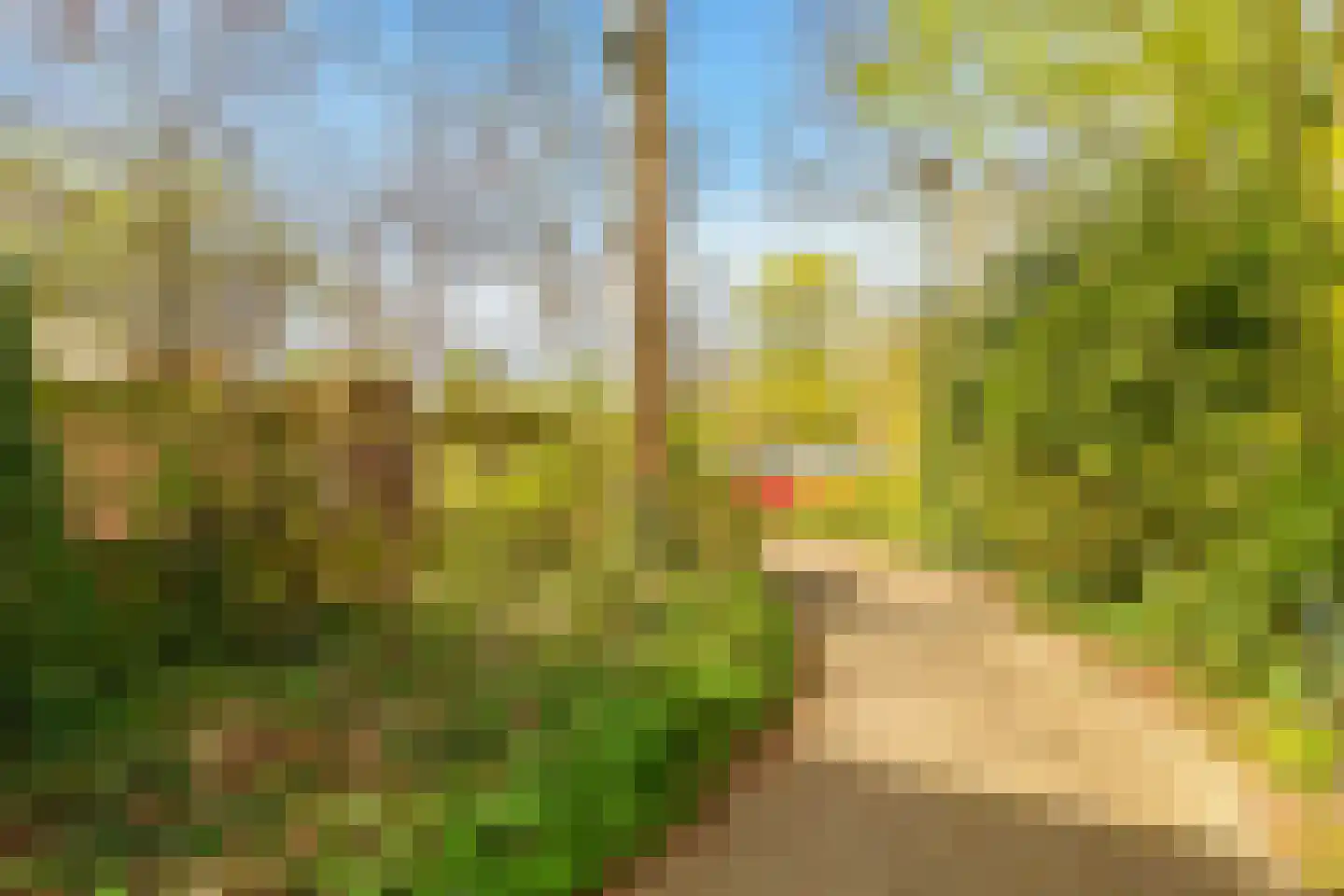 Boekenstein 39 Heiloo thumbnail 40