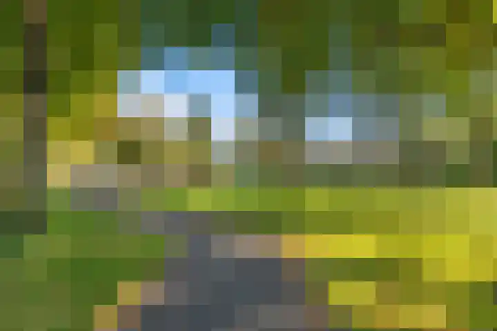 Boekenstein 61 Heiloo thumbnail 42