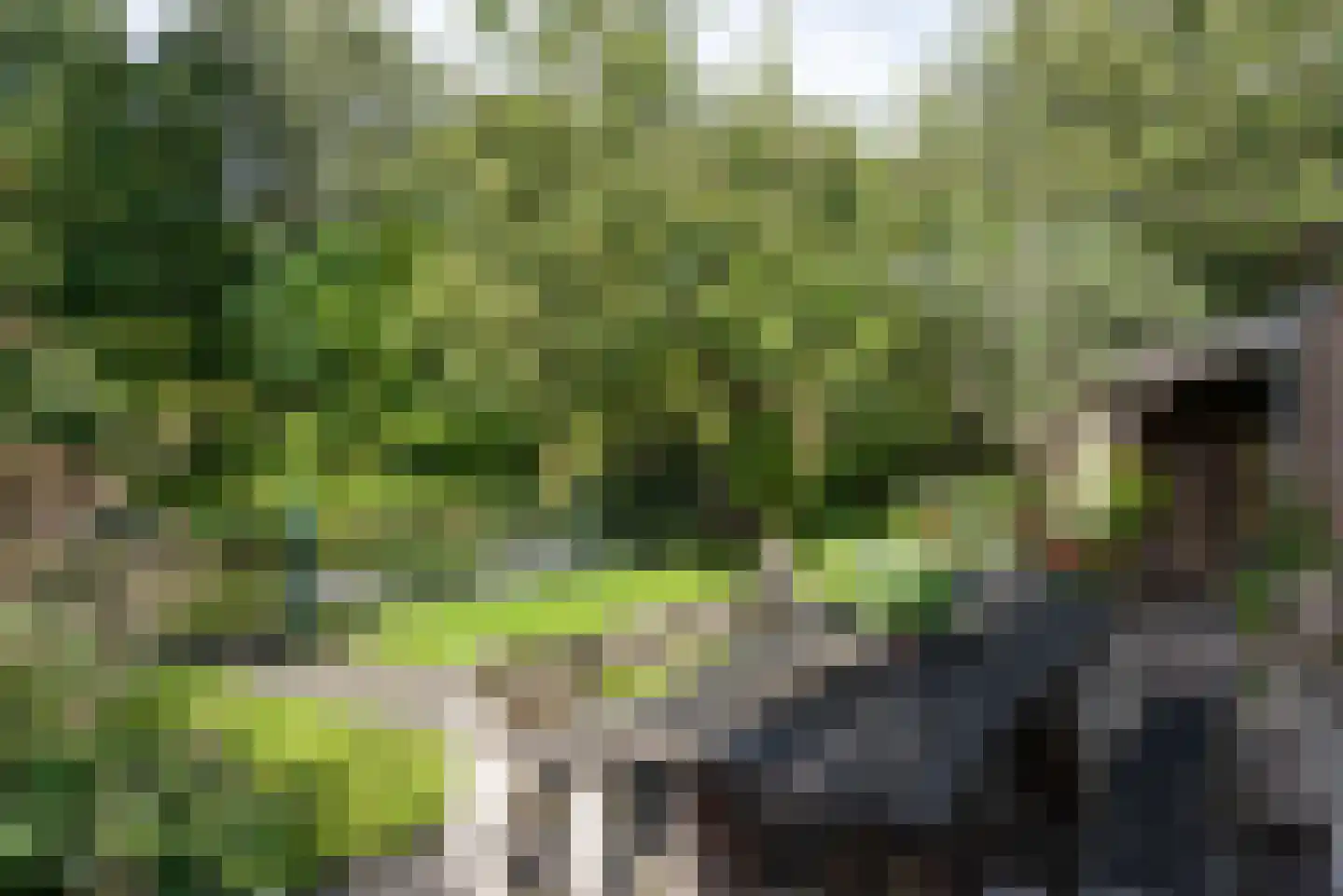 Boekenstein 97 Heiloo thumbnail 37