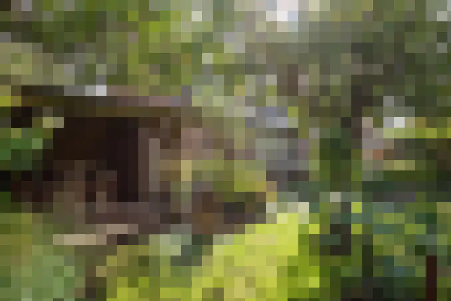Boekenstein 97 Heiloo thumbnail 39