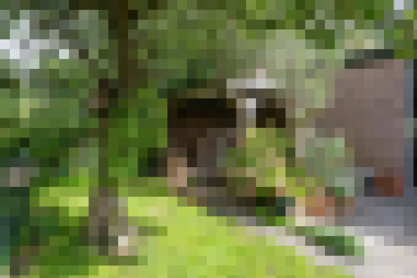 Boekenstein 97 Heiloo thumbnail 41