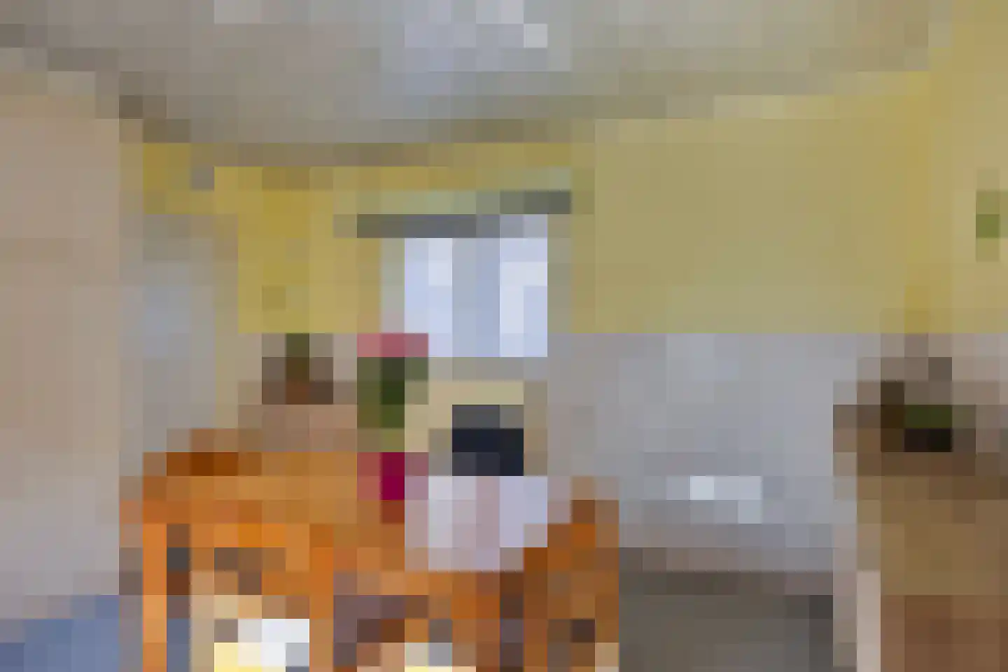 Boekent 10 Gemert thumbnail 18