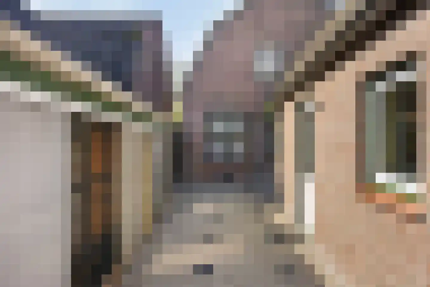 Boekent 10 Gemert thumbnail 36