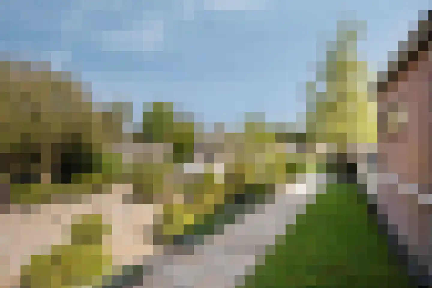 Boekent 10 Gemert thumbnail 39