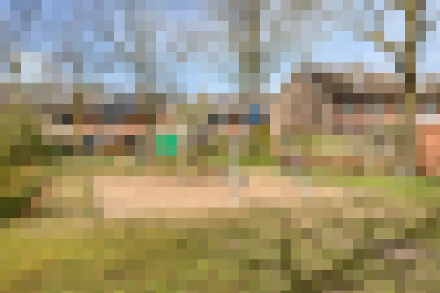 Boekentveld 27 Teteringen thumbnail 41