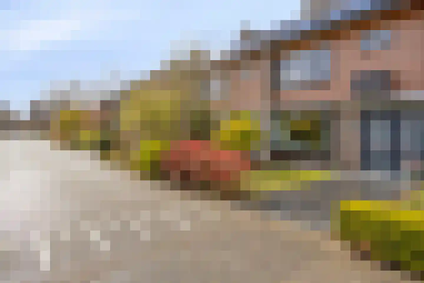 Boekentveld 27 Teteringen thumbnail 5