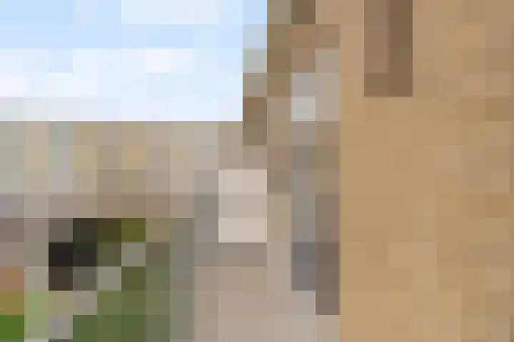 Boekerslootlaan 105 Noordwijk thumbnail 11