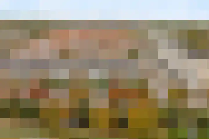 Boekerslootlaan 105 Noordwijk thumbnail 28