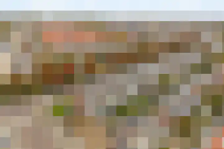 Boekerslootlaan 105 Noordwijk thumbnail 29