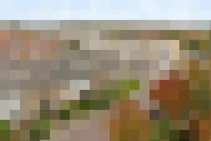 Boekerslootlaan 105 Noordwijk thumbnail 30