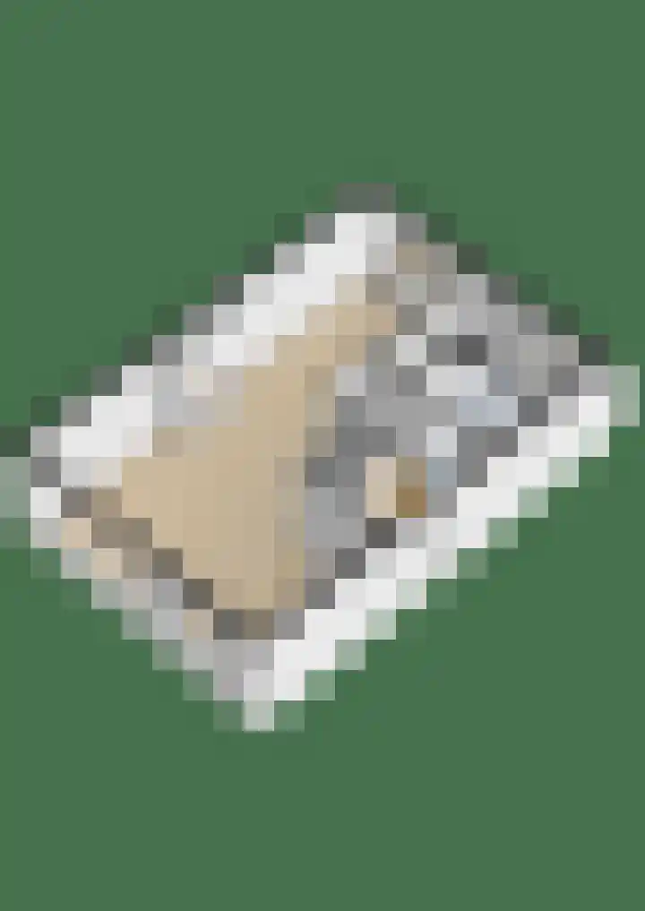 Boekerslootlaan 105 Noordwijk thumbnail 34