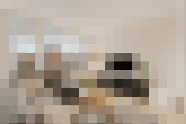 Boekerslootlaan 105 Noordwijk thumbnail 5