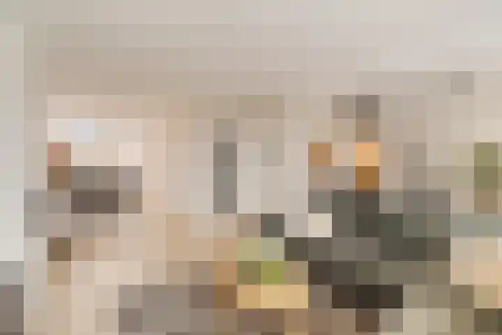 Boekerslootlaan 105 Noordwijk thumbnail 7