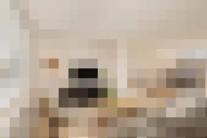 Boekerslootlaan 105 Noordwijk thumbnail 8