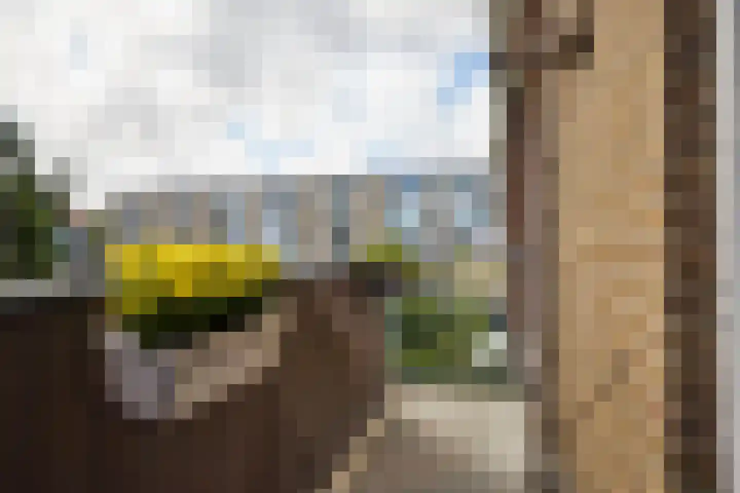 Boekerslootlaan 99 Noordwijk thumbnail 17