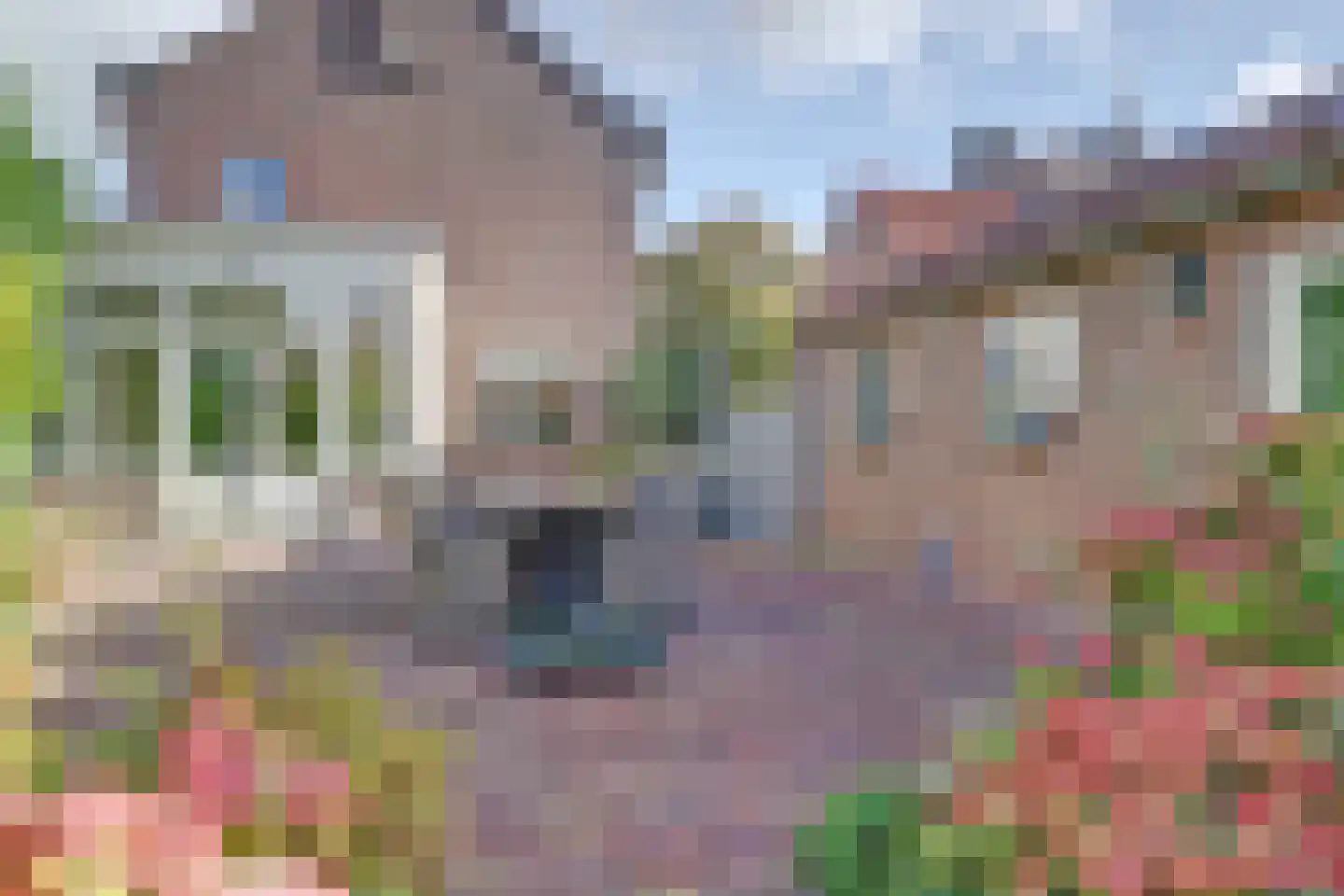 Boekert 4 Oosterblokker thumbnail 41