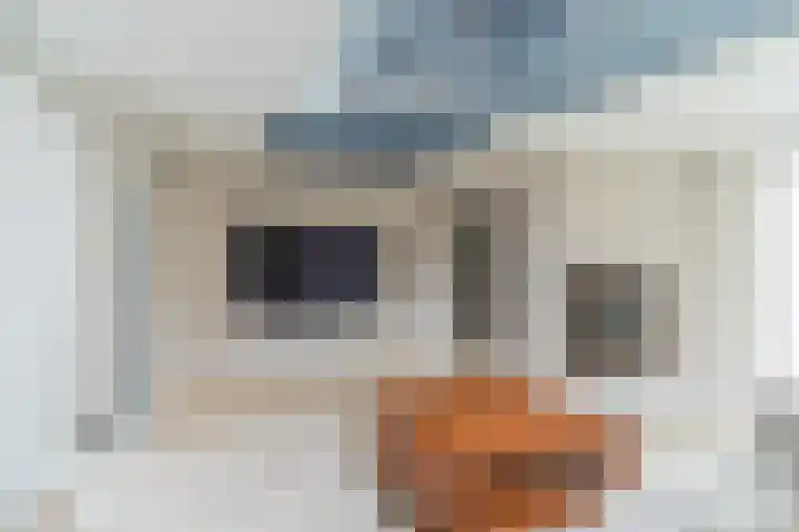 Boekesteynlaan 1 Helmond thumbnail 17