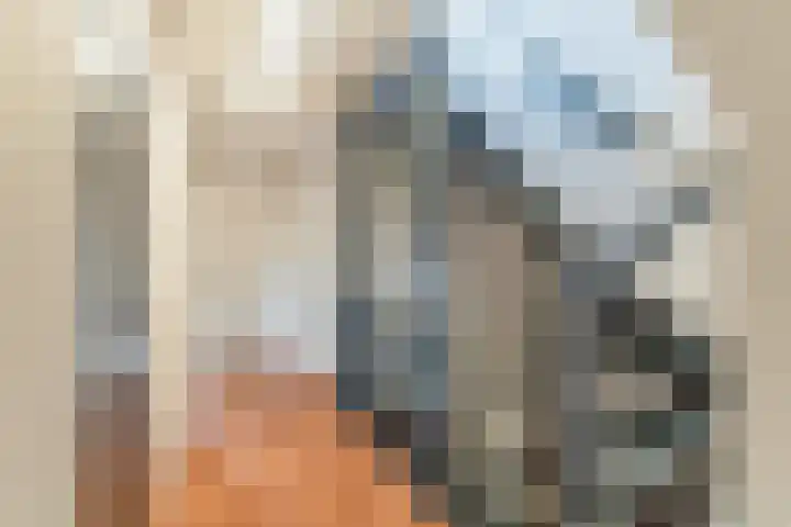 Boekesteynlaan 1 Helmond thumbnail 33