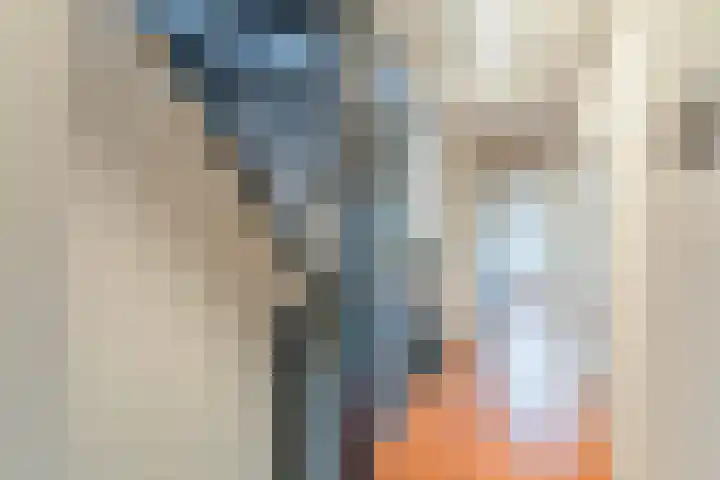 Boekesteynlaan 1 Helmond thumbnail 34