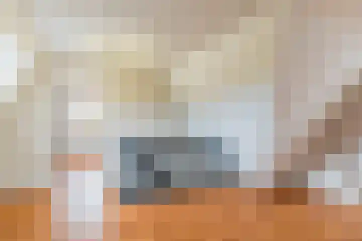 Boekesteynlaan 1 Helmond thumbnail 35