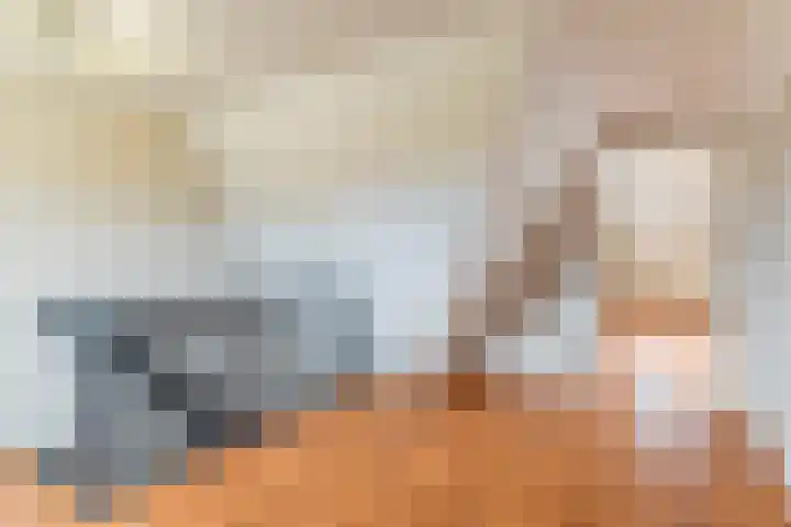 Boekesteynlaan 1 Helmond thumbnail 36