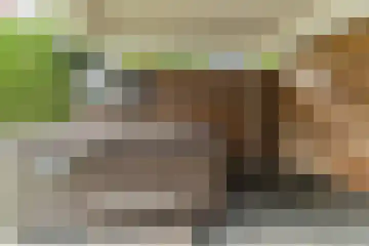 Boekesteynlaan 1 Helmond thumbnail 47