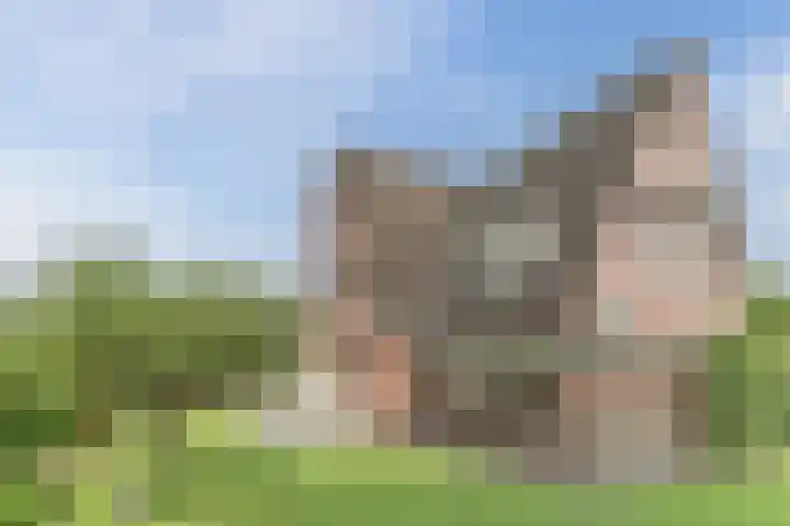 Boekesteynlaan 1 Helmond thumbnail 49