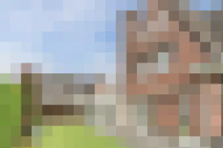 Boekesteynlaan 1 Helmond thumbnail 5