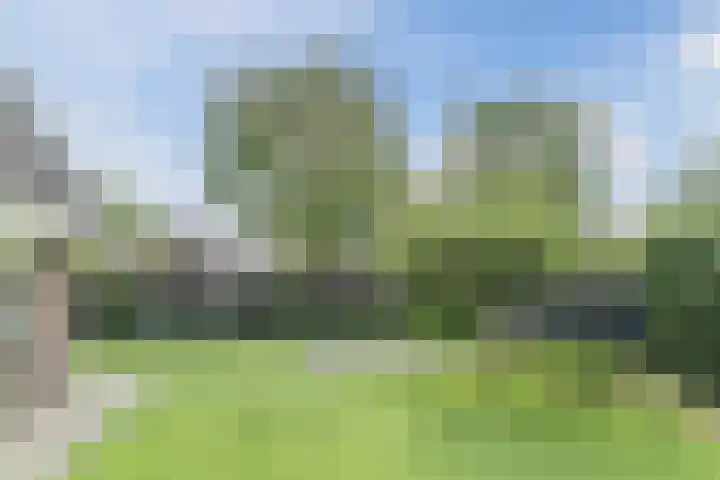 Boekesteynlaan 1 Helmond thumbnail 52
