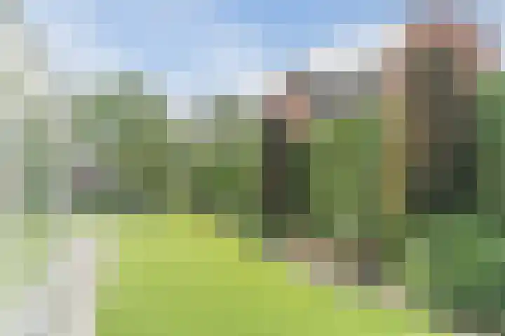 Boekesteynlaan 1 Helmond thumbnail 54
