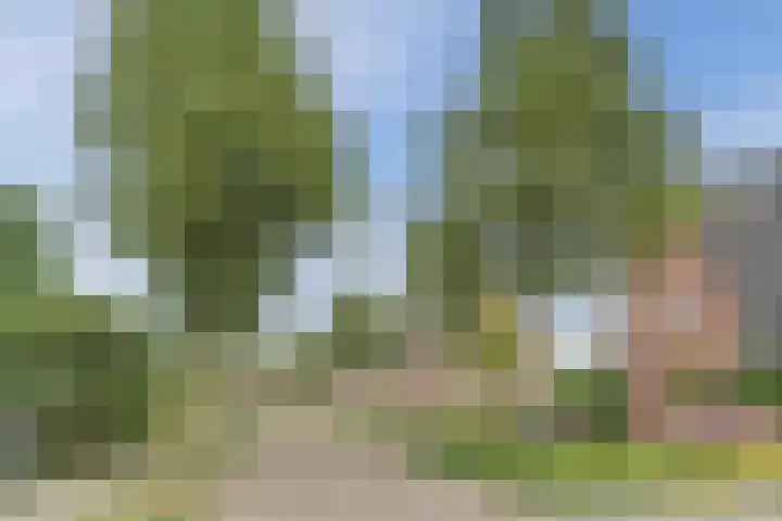 Boekesteynlaan 1 Helmond thumbnail 57