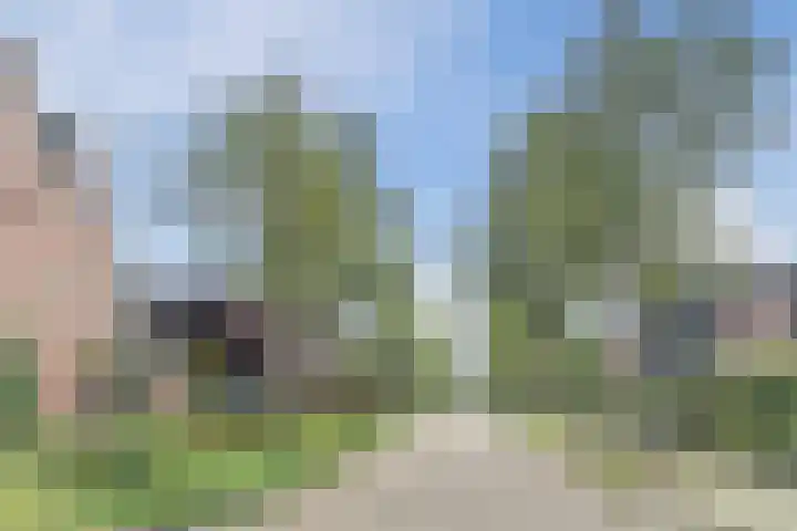 Boekesteynlaan 1 Helmond thumbnail 58