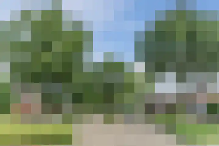 Boekesteynlaan 1 Helmond thumbnail 59