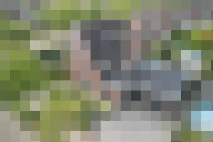 Boekesteynlaan 1 Helmond thumbnail 60