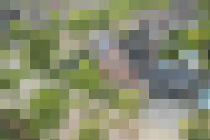 Boekesteynlaan 1 Helmond thumbnail 61