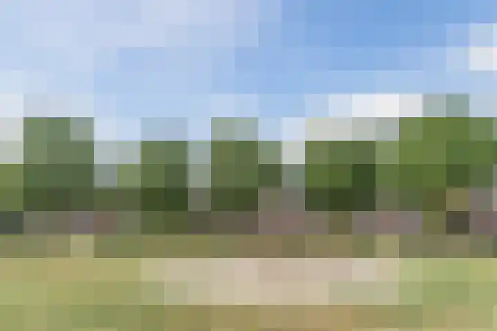 Boekesteynlaan 1 Helmond thumbnail 62