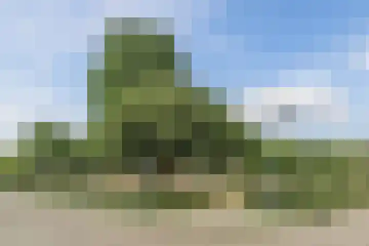 Boekesteynlaan 1 Helmond thumbnail 63