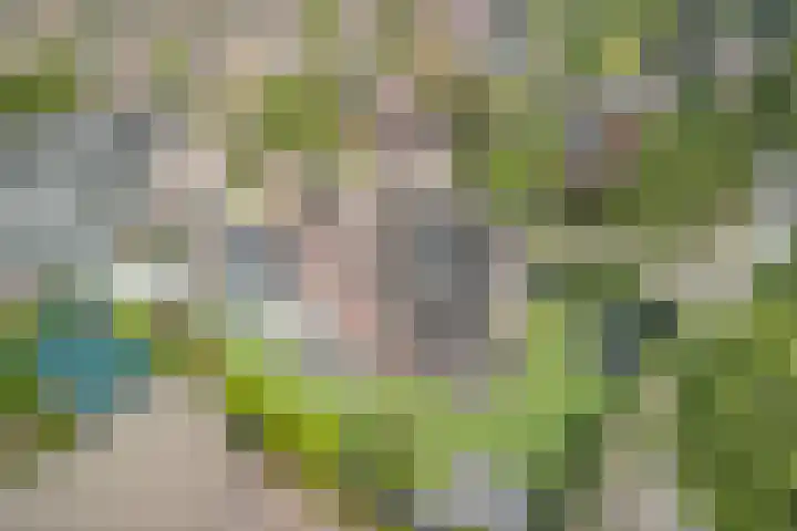 Boekesteynlaan 1 Helmond thumbnail 64