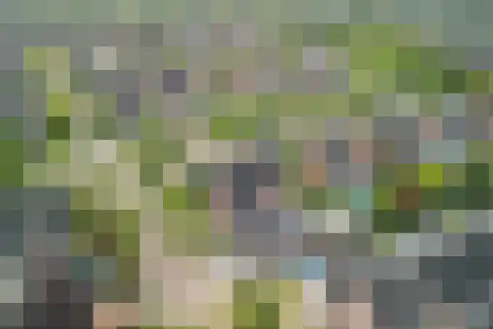 Boekesteynlaan 1 Helmond thumbnail 65